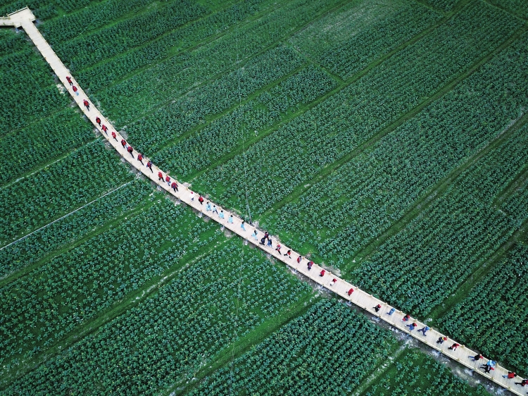 
　　貴州電網(wǎng)公司團委組織青年志愿者前往南方電網(wǎng)公司首批精準(zhǔn)扶貧示范村——凱里陽芳村開展志愿服務(wù)?！㈤_福 攝

　　深圳供電局團委組織團員青年觀看電影《雷鋒》