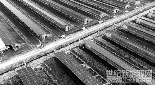 安徽省廬江縣光伏農(nóng)業(yè)示范園將棚頂光伏發(fā)電和棚下農(nóng)業(yè)種植有機(jī)結(jié)合，帶動(dòng)農(nóng)業(yè)產(chǎn)業(yè)轉(zhuǎn)型升級(jí)。目前，該光伏示范園實(shí)現(xiàn)年發(fā)電量達(dá)到1893萬(wàn)千瓦時(shí)，農(nóng)業(yè)大棚內(nèi)種植各類(lèi)蔬菜瓜果等經(jīng)濟(jì)作物，為周邊鄉(xiāng)村創(chuàng)造就業(yè)機(jī)會(huì)達(dá)280個(gè)，人均年收入達(dá)2.65萬(wàn)元以上