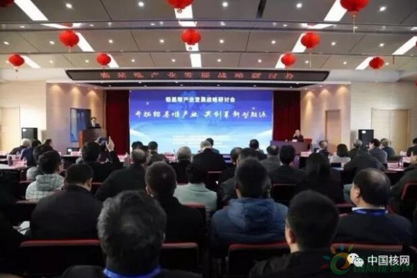 
                    近日，鉛基堆產(chǎn)業(yè)發(fā)展戰(zhàn)略研討會(huì)在安徽合肥舉行。來(lái)自國(guó)家與地方主管部門(mén)領(lǐng)導(dǎo)、百余名行業(yè)院士專家以及100余家行業(yè)單位的代表，圍繞“開(kāi)拓鉛基堆產(chǎn)業(yè)，共創(chuàng)革新型能源”的主題展開(kāi)了研討