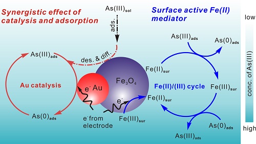 　　【中國儀表網(wǎng) 儀表研發(fā)】近期，中國科學(xué)院智能所黃行九研究團(tuán)隊與華中師范大學(xué)張禮知教授合作，利用X-射線光電子能譜(XPS)結(jié)合擴(kuò)展X-射線吸收精細(xì)結(jié)構(gòu)譜(EXAFS)，深入研究了啞鈴狀A(yù)u/Fe3O4納米顆粒表面的活性Fe(II) 以Fe(II)/Fe(III)循環(huán)形式參與到待測物的氧化還原反應(yīng)中，從而增強(qiáng)電化學(xué)分析行為的檢測機(jī)制。  檢測示意圖 　　鐵基金屬氧化物微/納結(jié)構(gòu)材料由于其特有的催化，吸附和磁學(xué)等性能而受到廣泛的關(guān)注，其在電化學(xué)的分析檢測重金屬離子中也有著廣泛