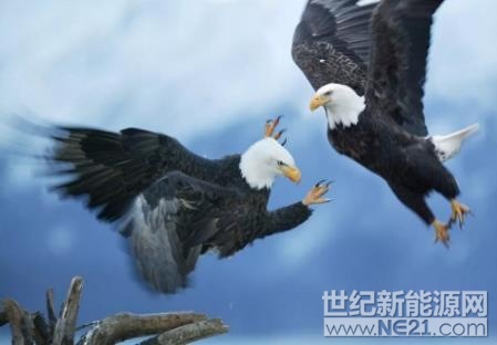  自2016年光伏市場(chǎng)重心開始偏向于分布式，整體的市場(chǎng)基調(diào)與方向在兩年內(nèi)已經(jīng)基本明朗。通過分析2017年上市企業(yè)財(cái)報(bào)，可以看出多數(shù)光伏企業(yè)已將大部分精力和財(cái)力投入到?jīng)Q戰(zhàn)分布式市場(chǎng)