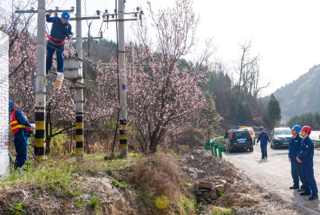 本網(wǎng)訊（通訊員 李娟/王釗）為有效降低線損，全面提升供電可靠性和安全性，3月27日，淳化縣供電分公司計量班全面展開更換10kv腐朽破損計量箱專項工作，確保用戶在迎峰度夏期間可靠用電。為了保證更換老舊表箱工作順利進行，計量班全體人員及抽調(diào)安裝人員兵分兩路，并與10kv停電檢修計劃相結(jié)合，避免重復(fù)停電，減少停電時間；在保安全、重質(zhì)量、講工藝的前提下，力爭最短時間內(nèi)圓滿完成這次更換10kv腐朽破損計量箱殲滅戰(zhàn)；工作人員第一站對石橋鎮(zhèn)143炮留線計量箱展開逐一巡視檢查，對存在安全隱患的計量箱仔細記錄，對箱體已出現(xiàn)