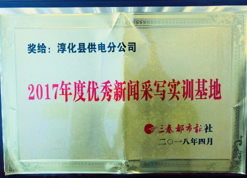 《三秦網(wǎng)》、《三秦都市報(bào)》授予2017年優(yōu)秀新聞采寫實(shí)訓(xùn)基地，同時(shí)該公司王鋒被評(píng)授予“優(yōu)秀通訊員”光榮稱號(hào)。2017年，為把握正確輿論導(dǎo)向，培養(yǎng)通訊宣傳方面人才，樹立和宣揚(yáng)公司良好形象，淳化縣供電分公司一直以來致力于認(rèn)真落實(shí)集團(tuán)公司和市公司黨委有關(guān)工作部署，在不斷提高各級(jí)專兼職通訊員思想素質(zhì)和業(yè)務(wù)能力的基礎(chǔ)上，通過硬性指標(biāo)績(jī)效考核，不斷激發(fā)大家的寫稿、投稿積極性，很好地促進(jìn)了公司宣傳報(bào)道工作的健康開展，被據(jù)不完全統(tǒng)計(jì)，2017年，在全公司通訊員的共同努力下，共在各類各級(jí)報(bào)紙、網(wǎng)站等媒體共刊發(fā)稿件1000 