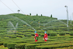 
　　浙江泰順縣供電公司工作人員深入各茶葉生產(chǎn)基地，義務排查用電線路隱患。項靜靜 攝

　　僅憑一張身份證就能完成新房電表過戶手續(xù)，通過手機APP就能“一次都不跑”開具電子發(fā)票，根據(jù)客戶線上線下行為積累的海量數(shù)據(jù)形成360度畫像，定制個性化營銷服務……全面聚焦客戶需求，創(chuàng)新服務模式，這些國家電網(wǎng)公司在新時代實踐“人民電業(yè)為人民”的場景，已在浙江成為現(xiàn)實
