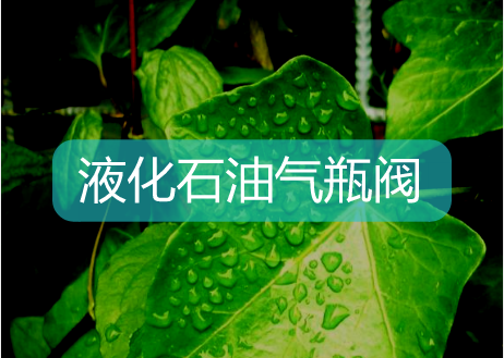 　　【中國儀表網 儀表標準】2017年11月1日，國家頒布了《液化石油氣瓶閥》(GB/T 7512-2017)，并且將于2018年5月1日正式生效。按照規(guī)定，自5月1日起，閥門生產企業(yè)要停止生產原標準的瓶閥，7月1日起將停止銷售