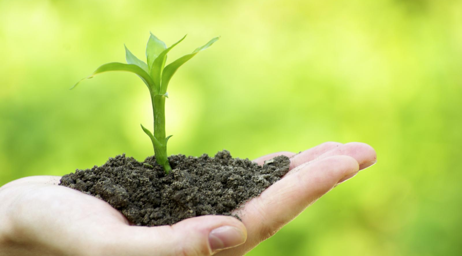 　　【中國儀表網 儀表文件】土壤是人類重要的自然資源，關系人民群眾身體健康和生態(tài)環(huán)境的有序健康發(fā)展，保護好土壤環(huán)境是推進生態(tài)文明建設重要內容。但是，目前我國土壤環(huán)境總體狀況堪憂，部分地區(qū)污染較為嚴重，多個部門也在積極推進土壤污染防治工作的推進