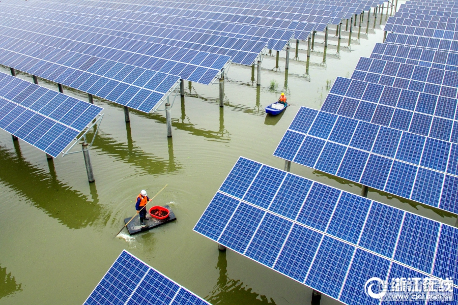 




5月22日，位于長(zhǎng)興縣洪橋鎮(zhèn)古龍村的漁光互補(bǔ)光伏發(fā)電項(xiàng)目現(xiàn)場(chǎng)，工作人員正在水塘中捕撈首批龍蝦。這個(gè)年發(fā)電量約1900萬(wàn)千瓦時(shí)的漁光互補(bǔ)光伏發(fā)電項(xiàng)目，充分利用光伏大棚，實(shí)現(xiàn)工廠化溫控養(yǎng)殖，提質(zhì)增產(chǎn)、延長(zhǎng)產(chǎn)出周期，500畝水域面積內(nèi)首批投放的龍蝦迎來(lái)首次上市