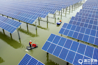 5月22日，位于長(zhǎng)興縣洪橋鎮(zhèn)古龍村的漁光互補(bǔ)光伏發(fā)電項(xiàng)目現(xiàn)場(chǎng)，工作人員正在水塘中捕撈首批龍蝦。這個(gè)年發(fā)電量約1900萬(wàn)千瓦時(shí)的漁光互補(bǔ)光伏發(fā)電項(xiàng)目，充分利用光伏大棚，實(shí)現(xiàn)工廠(chǎng)化溫控養(yǎng)殖，提質(zhì)增產(chǎn)、延長(zhǎng)產(chǎn)出周期，500畝水域面積內(nèi)首批投放的龍蝦迎來(lái)首次上市