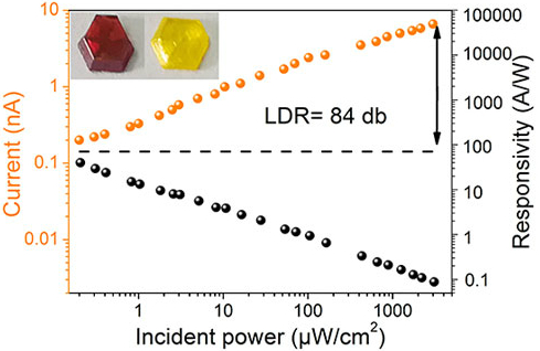　　【中國儀表網(wǎng) 儀表研發(fā)】眼睛是心靈的窗戶，是人體最重要的器官之一。同樣，在光電子器件中，最重要的部件之一就是它的“眼睛”——光電探測器