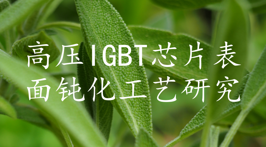 　　【中國儀表網(wǎng) 儀表上游】5月24日，國家電網(wǎng)公司科技部在北京組織召開了國家電網(wǎng)公司科技項目“高壓IGBT芯片表面鈍化工藝研究”項目驗收會。國家電網(wǎng)公司科技部、驗收專家、項目研究團隊等20余人參加了會議