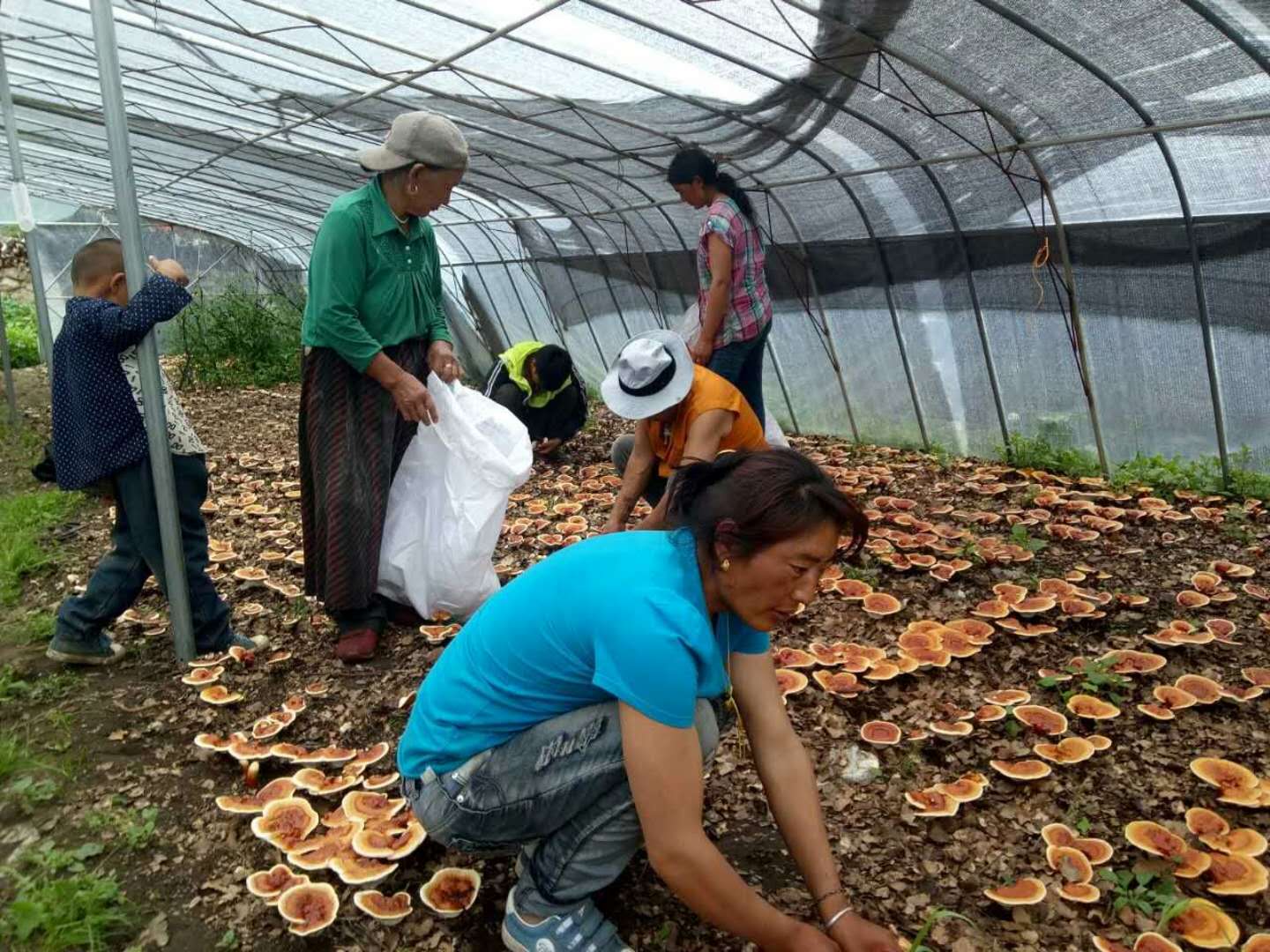 “感謝黃埔區(qū)、廣州開發(fā)區(qū)幫助我們出資參股，不需要我們運(yùn)營(yíng)，就可以享受到生物島電站源源不斷的收益?！蔽鞑夭芸h玉許鄉(xiāng)黨委書記王斌告訴記者，通過(guò)異地光伏扶貧模式變“輸血”為“造血”，讓玉許鄉(xiāng)村民脫貧致富有了盼頭
