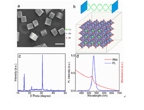 　　【中國儀表網(wǎng) 儀表新品】5月10日，中國科學院上海光學精密機械研究所強場激光物理國家重點實驗室與重慶大學合作，在微納激光器研究領域取得新進展。相關研究成果以Robust Subwavelength Single-Mode Perovskite Nanocuboid Laser 為題，在國際期刊ACS Nano 上發(fā)表[ACS Nano 2018, DOI: 10.1021/acsnano.8b02143]