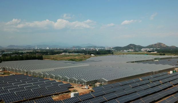 這是秦皇島市撫寧區(qū)墳坨管理區(qū)的20兆瓦“農(nóng)光互補(bǔ)”光伏發(fā)電廠內(nèi)的智能光伏溫室（5月30日無(wú)人機(jī)拍攝）。財(cái)經(jīng)日歷資訊快遞貴金屬模擬交易貴金屬專家直播室金投網(wǎng)貴金屬行情軟件