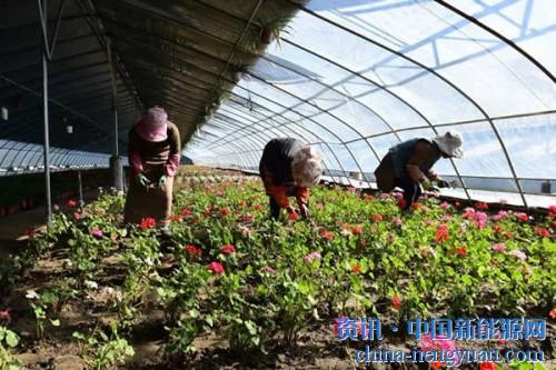                                                                                                                                                                     
	　　項目總投資1200萬元，已建設(shè)光伏電站規(guī)模1兆瓦和大棚面積8000多平方米——西藏首個貧困村光伏農(nóng)場日前在山南市瓊結(jié)縣拉玉鄉(xiāng)建成。這一光伏農(nóng)場在創(chuàng)新農(nóng)