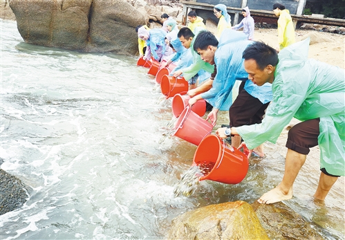  




　　在海南省三亞市南山景區(qū)，參加放魚(yú)活動(dòng)的志愿者將魚(yú)苗放入大海（2018年6月6日攝）。
　　6月8日是由聯(lián)合國(guó)大會(huì)確定的“世界海洋日”，旨在提醒人類(lèi)關(guān)注賴(lài)以生存的海洋，發(fā)現(xiàn)海洋所蘊(yùn)含的豐富價(jià)值，審視全球性污染和對(duì)魚(yú)類(lèi)資源過(guò)度消耗等問(wèn)題給海洋環(huán)境和海洋生物帶來(lái)的不利影響