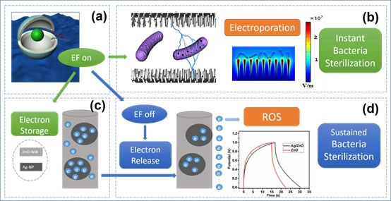 
			              材料和電之間存在密切的關(guān)聯(lián)。如基于摩擦起電的現(xiàn)象，通過選擇合適的材料和電路設(shè)計(jì)，可成功制備將機(jī)械能轉(zhuǎn)化為電能的摩擦納米發(fā)電機(jī)