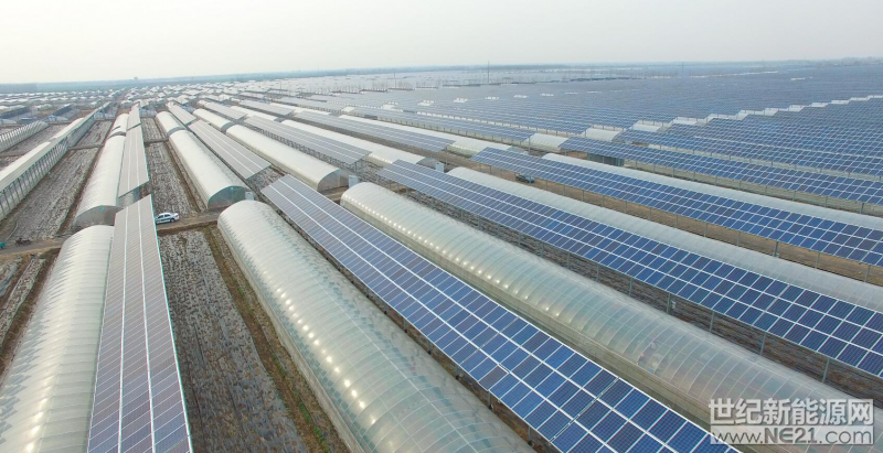 2018年6月9日至10日，上海合作組織元首級(jí)峰會(huì)在山東青島正式召開(kāi)。這是上合組織擴(kuò)員后舉行的首次元首峰會(huì)，吸引了多國(guó)元首齊聚青島