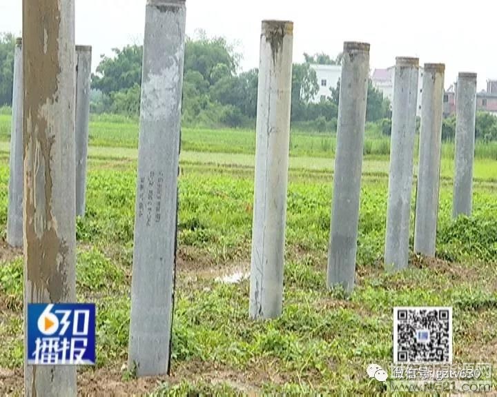 近日，信豐縣西牛鎮(zhèn)東莆村的一些村民向我們反映，在他們村里要建一個(gè)光伏發(fā)電站，但是很多村民都不同意，這是什么原因呢?

6月22日上午，記者來到了信豐縣西牛鎮(zhèn)東莆村，看到在馬路旁邊的農(nóng)田里堆放了很多光伏發(fā)電的建設(shè)材料，部分光伏發(fā)電水泥桿已經(jīng)立了起來，中間還擺放著一輛挖掘機(jī)。



記者在采訪中了解到，現(xiàn)在建設(shè)光伏發(fā)電的花生地，屬于東莆村村支書家，已經(jīng)經(jīng)過他本人的同意，但是涉及到其他村民的，均沒有村民同意