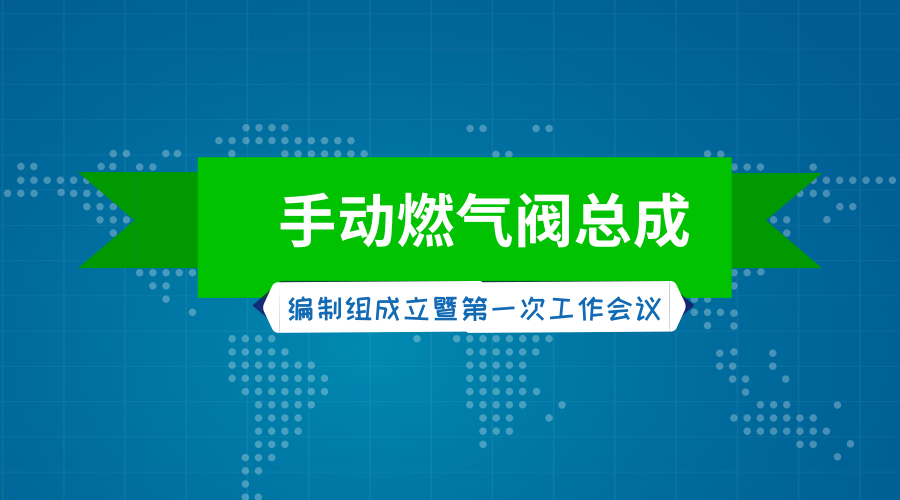 　　【中國儀表網(wǎng) 儀表標(biāo)準(zhǔn)】日前，國家標(biāo)準(zhǔn)《燃?xì)馊紵骱腿紵骶呤褂冒踩涂刂蒲b置特殊要求手動燃?xì)忾y總成》編制組成立暨第一次工作會議在浙江新昌召開。  　　會議由住房和城鄉(xiāng)建設(shè)部燃?xì)鈽?biāo)準(zhǔn)化技術(shù)委員會秘書處主辦，浙江新濤智控科技股份有限公司承辦