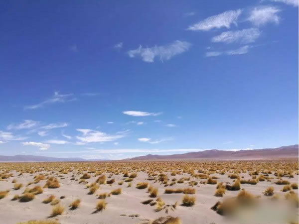                                         
	　　 位于阿根廷Jujuy省的Cauchari 300MW光伏電站項(xiàng)目目前正在火熱建設(shè)中，這是阿根廷最大的光伏電站項(xiàng)目，全部采用華為智能光伏解決方案。

	　　該光伏電站位于海拔4000米的高原上，日照充足，自然條件極為優(yōu)越