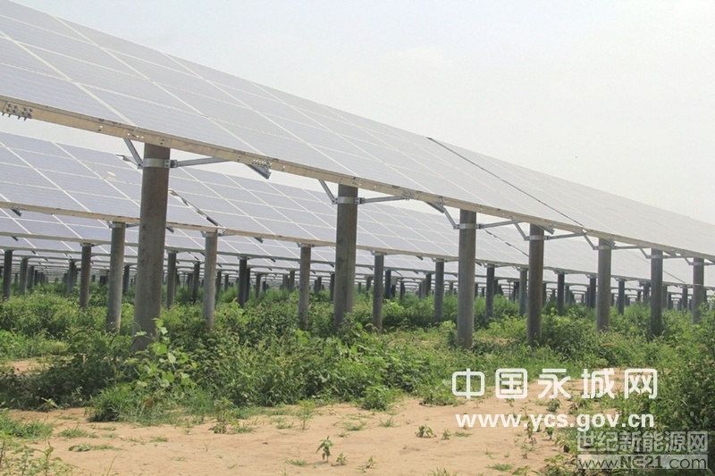 

太陽(yáng)能光伏發(fā)電板鋪設(shè)完成

日前，記者在位于劉河鎮(zhèn)的永城鑫能劉河80兆瓦農(nóng)光互補(bǔ)項(xiàng)目（以下簡(jiǎn)稱永城鑫能項(xiàng)目）所在地看到，一排排整齊的太陽(yáng)能光伏發(fā)電板已鋪設(shè)完成，藍(lán)色多晶硅組件在陽(yáng)光的照射下閃閃發(fā)光。該項(xiàng)目于6月14日一次并網(wǎng)成功