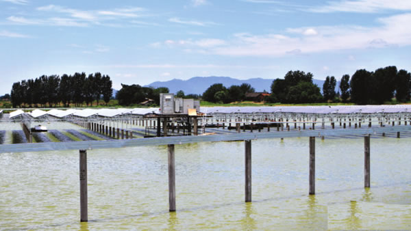                                         
	
	圖為7月2日下午建設(shè)工地現(xiàn)場(chǎng)。

	　　總投資8億多元的“百兆瓦漁光互補(bǔ)”項(xiàng)目光伏發(fā)電站正進(jìn)入工程的收尾階段