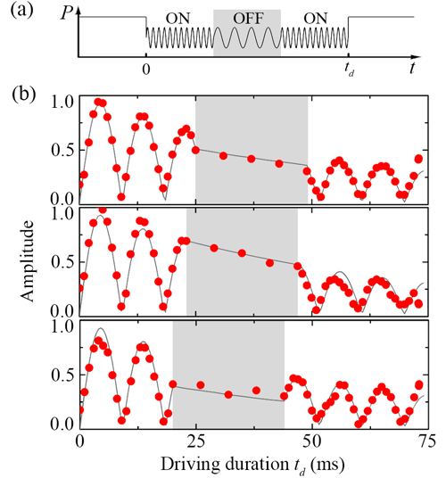 　　【中國儀表網(wǎng) 儀表研發(fā)】中國科學院武漢物理與數(shù)學研究所研究員曹更玉帶領(lǐng)的表面單分子化學物理研究組與中國科學院院士、北京計算科學研究中心講座教授孫昌璞、研究員李勇和中科院理論物理研究所研究員易俗等合作，在微納腔光力系統(tǒng)中的能量相干傳遞方面取得了新的研究進展，首次在實驗上構(gòu)造了基于動力學局域振動模式的相干光力開關(guān)，實現(xiàn)了耦合機械振子中能量傳遞速率全范圍的連續(xù)調(diào)控。相關(guān)研究結(jié)果發(fā)表在Physical Review Applied上