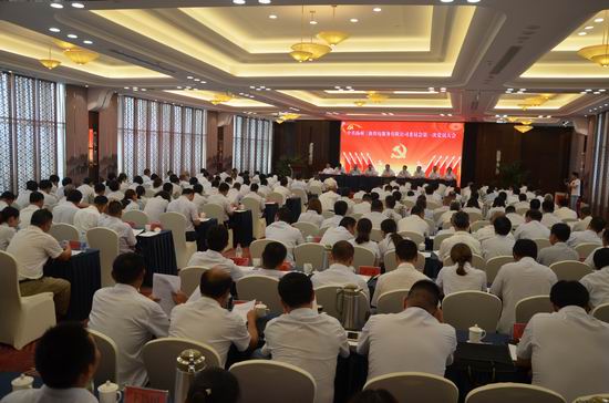 

　　農(nóng)村電氣化網(wǎng)訊：7月9日下午，揚(yáng)州農(nóng)電三新公司召開黨員大會，選舉產(chǎn)生了第一屆黨委、紀(jì)委，共有194名黨員參加了會議。

　　該公司為貫徹落實(shí)公司全面從嚴(yán)治黨的工作要求，增強(qiáng)黨組織的凝聚力、創(chuàng)造力和戰(zhàn)斗力，推動(dòng)公司改革發(fā)展，公司根據(jù)《國網(wǎng)江蘇公司關(guān)于健全完善黨建工作機(jī)構(gòu)設(shè)置的通知》的要求，決定成立中共揚(yáng)州三新供電服務(wù)有限公司委員會和紀(jì)律檢查委員會