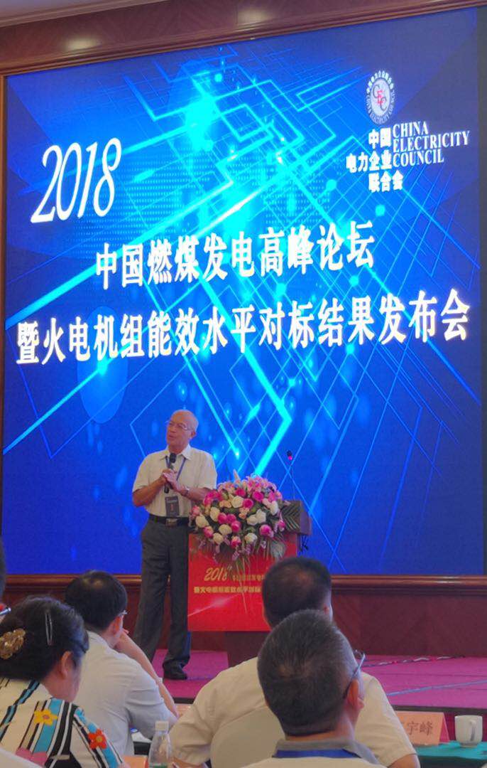 　　 “目前我國調(diào)峰電源的裝機(jī)容量只占2%左右。在可再生能源迅速發(fā)展的環(huán)境下，靈活的調(diào)峰電源占比至少要達(dá)到總裝機(jī)的10%-15%