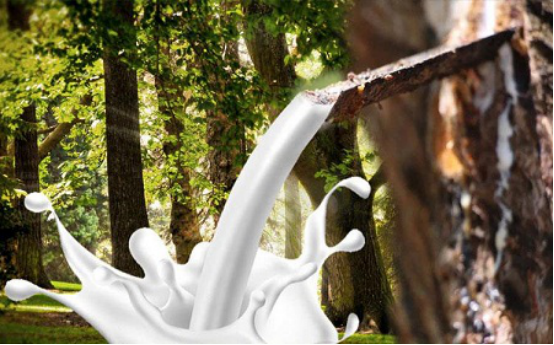 
                
	【電纜網(wǎng)訊】盡管近期國(guó)內(nèi)合成膠價(jià)格大幅回升，但對(duì)于滬膠期價(jià)的提振作用并未體現(xiàn)。雖說(shuō)上周傳出泰國(guó)政府計(jì)劃削減天膠種植面積的消息，但市場(chǎng)對(duì)此反應(yīng)疲弱