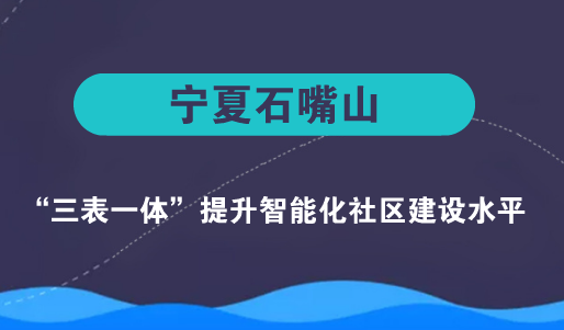 　　【中國(guó)儀表網(wǎng) 儀表產(chǎn)業(yè)】7月20日，寧夏石嘴山市平羅縣德淵水務(wù)有限公司經(jīng)理馬景波走進(jìn)石嘴山供電公司下轄平羅縣供電營(yíng)業(yè)大廳，將一面寫著“智慧城市服務(wù)先鋒”的錦旗送到相關(guān)營(yíng)銷負(fù)責(zé)人手中。并感謝供電公司服務(wù)、支撐智慧城市建設(shè)，減輕同為公共服務(wù)行業(yè)的供水公司抄表工作量和硬件重復(fù)建設(shè)，真正做到便民、為民、惠民
