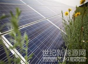 據(jù)報(bào)告，歐洲復(fù)興開發(fā)銀行將向Ekotechnik Shyroke LLC提供560萬歐元的貸款，用于在第聶伯羅彼得羅夫斯克地區(qū)建設(shè)一座裝機(jī)容量為7兆瓦的太陽能發(fā)電廠。



據(jù)了解，該項(xiàng)目的實(shí)施將調(diào)整該國(guó)的發(fā)電結(jié)構(gòu)