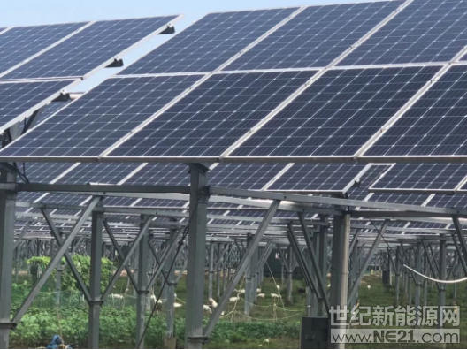 為認真貫徹落實中央《關于打贏脫貧攻堅戰(zhàn)三年行動的指導意見》精神，把村級光伏扶貧電站建設工作落實落細，管嚴管好。7月31日，國務院扶貧辦、國家能源局在安徽金寨召開全國村級光伏扶貧電站建設管理工作會