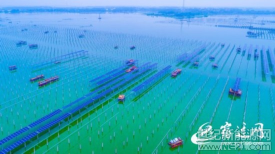 
 

7月30日上午，赤日炎炎，泗洪天崗湖光伏發(fā)電應用領跑基地一片繁忙，工人們正揮汗如雨，打樁作業(yè)。

該項目占地面積1.5萬余畝，計劃總投資40億元，年稅收1億元