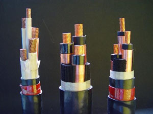 
	
                    
	【電纜網(wǎng)訊】近日，國家電網(wǎng)公司電子商務平臺發(fā)布了《國網(wǎng)湖南省電力有限公司關于供應商不良行為處理情況的公示》。處理結(jié)果顯示，河南佳能電力物資有限公司因產(chǎn)能原因無法按期供貨，在湖南公司采購的架空絕緣導線品類中暫停中標4個月