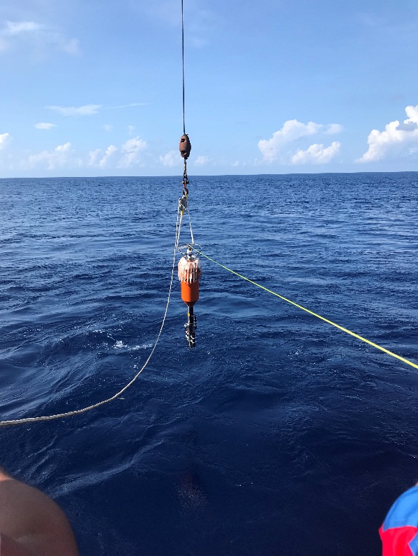 　　【中國儀表網(wǎng) 儀表產(chǎn)業(yè)】深海蘊(yùn)藏著地球上遠(yuǎn)未認(rèn)知和開發(fā)的寶藏，但要得到這些寶藏，就必須在深海進(jìn)入、深海探測、深海開發(fā)等方面掌握技術(shù)。  無纜式湍流混合剖面儀海上布放