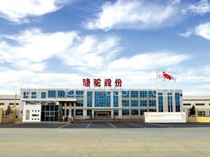 
	
                    
	【電纜網(wǎng)訊】8月9日晚間，駱駝股份發(fā)布2018年半年度報告顯示，上半年，公司實現(xiàn)營收42.30億元，同比增長32.43%，實現(xiàn)凈利潤2.88億元，同比增長34.17%。

	

	據(jù)分析，駱駝股份業(yè)績增長受益于國內(nèi)龐大且日益增長的汽車保有量，公司銷售渠道建設的優(yōu)勢顯現(xiàn)，上半年維護替換市場的銷量比去年同期增長30%左右，鉛酸蓄電池銷售總量近1200萬KVAH