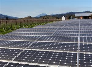 
	
                    
	【電纜網(wǎng)訊】作為中國(guó)南方城市最大的電力生產(chǎn)商，深圳能源集團(tuán)在未能獲得美國(guó)監(jiān)管機(jī)構(gòu)批準(zhǔn)計(jì)劃進(jìn)行大規(guī)模太陽(yáng)能收購(gòu)后，其海外擴(kuò)張計(jì)劃遭遇挫折。

	

	早在去年，深圳能源美國(guó)子公司深美能源投資控股有限公司同意以2.32億美元收購(gòu)Recurrent能源公司運(yùn)營(yíng)的項(xiàng)目