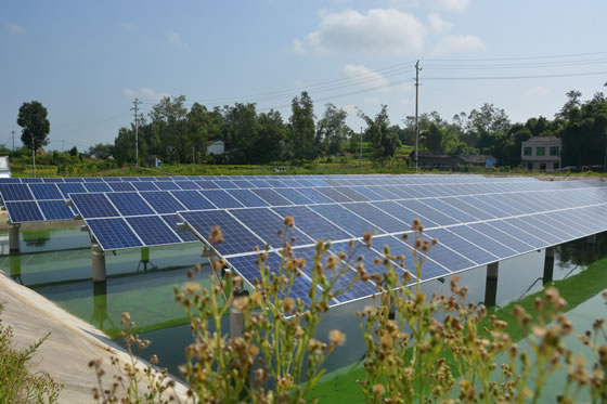                                         
	　　重慶市梁平區(qū)禮讓鎮(zhèn)川西村一池塘上，一面面懸空在水面上的太陽能板在陽光的照射下發(fā)出耀眼的光芒，而讓人意想不到的是，在波光粼粼的水面下，竟養(yǎng)著魚蝦。這就是禮讓鎮(zhèn)試點的首個漁業(yè)光伏發(fā)電項目