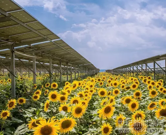  2016年，法國政府制定了到2020年新增3GW光伏的目標，目前在穩(wěn)定推進。



日前，法國能源部長公開招標了103個、總裝機容量為720MW的不同規(guī)模的光伏項目競標結(jié)果揭曉