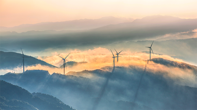                        核電、風電、太陽能發(fā)電合計新增裝機容量占新增裝機總容量的66.1%，比去年同期提高5.4個百分點；核電、風電、太陽能發(fā)電量合計同比增長19.0%，高于火電發(fā)電增速11.0個百分點……這一串串數(shù)據(jù)清晰地勾勒出今年上半年我國可再生能源發(fā)展的基本輪廓。  在國家能源局近日召開的新聞發(fā)布會上，國家能源局發(fā)展規(guī)劃司相關負責人在會上介紹，今年上半年，我國能源消費持續(xù)回暖，能源消費結構不斷優(yōu)化；可再生能源發(fā)電規(guī)模持續(xù)擴大，風電和光伏發(fā)電消納形勢持續(xù)好轉，