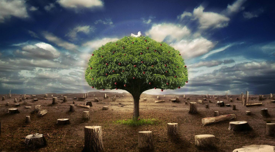 　　【中國(guó)儀表網(wǎng) 儀表深度】改善環(huán)境，監(jiān)測(cè)先行。環(huán)境監(jiān)測(cè)是生態(tài)環(huán)境保護(hù)的基石，是生態(tài)文明建設(shè)的重要支撐