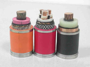 
	
                    
	【電纜網(wǎng)訊】近日，國家電網(wǎng)公司電子商務(wù)平臺發(fā)布了《國網(wǎng)湖南省電力有限公司關(guān)于供應(yīng)商不良行為處理情況的公示》。處理結(jié)果顯示，湖南湘江電纜有限公司供應(yīng)的電力電纜經(jīng)檢測發(fā)現(xiàn)一般質(zhì)量問題，在湖南公司采購的電力電纜物資品類中暫停中標(biāo)2個(gè)月