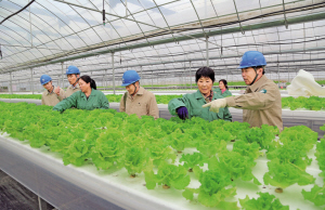 
　　江蘇東臺(tái)市供電公司三倉供電所員工向大棚種植基地管理人員了解用電需求，保證生態(tài)大棚用電安全。 孫永興 攝

　　8月8日，國家電網(wǎng)公司2018年?duì)I銷（農(nóng)電）工作座談會(huì)在江蘇南京召開