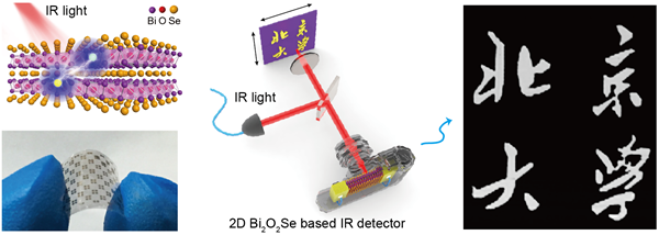 　　【中國(guó)儀表網(wǎng) 儀表研發(fā)】在過(guò)去的一個(gè)世紀(jì)中，紅外光探測(cè)已經(jīng)成為人們觀測(cè)自然的一個(gè)重要手段，而基于紅外探測(cè)的應(yīng)用業(yè)已深入到人們生活的各個(gè)方面，比如安全監(jiān)控、動(dòng)作檢測(cè)、紅外夜視等。在波長(zhǎng)范圍為0.7 微米~1毫米紅外光中，1~1.8微米波段的短波紅外光因其獨(dú)特應(yīng)用而格外引人關(guān)注