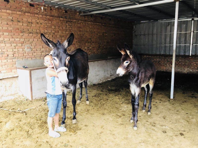 　　窮山村迎來(lái)了“電親戚”　　兩年前的一個(gè)冬日，孫秀村坐在村口半截石墩上曬著太陽(yáng)，粗裂的兩根手指中夾著剩了一截的煙屁股，隨著凜冽的北風(fēng)濃一股淡一縷的老旱煙的煙霧不時(shí)飄過(guò)孫秀村的眼睛。孫秀村望著眼前一片枯黃的大地，荒涼，寂寥，沒(méi)有生機(jī)