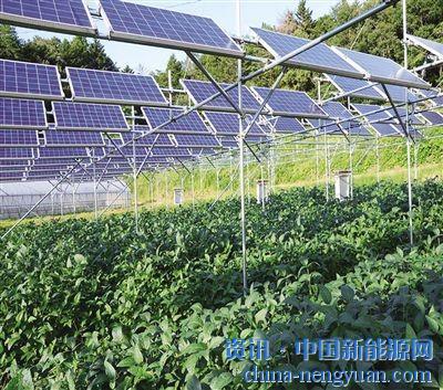                                                                                                                                                                     
	　　通過“一地多用、農(nóng)光互補”的新型產(chǎn)業(yè)發(fā)展模式，我國生態(tài)光伏發(fā)電項目為貧困地區(qū)提供了可持續(xù)發(fā)展的新方案。

	　　由國際公益學(xué)院、燕寶慈善基金會聯(lián)合主辦