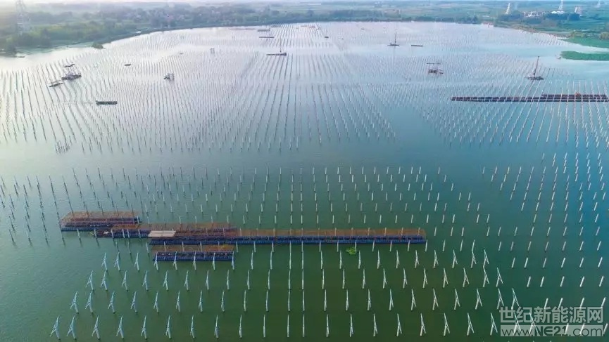 中國廣核新能源控股有限公司泗洪光伏發(fā)電應(yīng)用領(lǐng)跑基地，地處江蘇省泗洪縣天崗湖鄉(xiāng)，屬于江蘇省經(jīng)濟欠發(fā)達鄉(xiāng)鎮(zhèn)。近年來，天崗湖鄉(xiāng)緊緊抓住省委扶貧這一重大政策，牢固樹立“綠水青山就是金山銀山”的理念，充分利用天崗湖鄉(xiāng)灘涂濕地和湖水優(yōu)勢，積極引進光伏發(fā)電項目，致力于建設(shè)能源之鄉(xiāng)