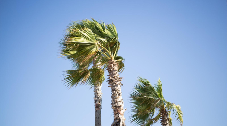 　　【中國儀表網 儀表深度】隨著技術的發(fā)展，衛(wèi)星遙感監(jiān)測服務也變來越來越業(yè)務化。全球都在通過衛(wèi)星對森林草原火災、洪澇災害、沙塵暴監(jiān)測以及其他環(huán)境信息進行監(jiān)測