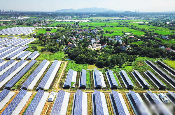                                         
	

	　　湖州市長(zhǎng)興縣虹星橋鎮(zhèn)譚家村為積極推進(jìn)精準(zhǔn)幫扶項(xiàng)目，發(fā)展特色高效農(nóng)業(yè)，拓寬低收入群體增收渠道，以華盛太陽能農(nóng)莊為基地，給低收入家庭提供大棚種植非洲菊，并進(jìn)行技術(shù)指導(dǎo)，產(chǎn)品由政府和企業(yè)幫助銷售。由“輸血扶貧”轉(zhuǎn)向“造血扶貧”，為鄉(xiāng)村振興帶來“源頭活水”